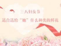 三八婦女節，適合送給“她”什么種類的鮮花？